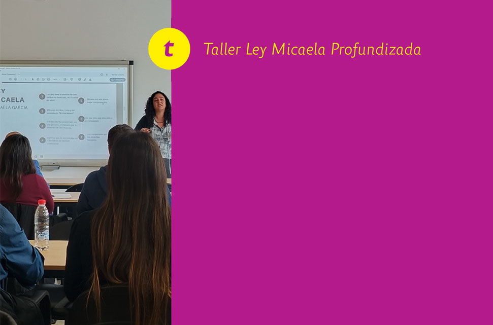 Taller Ley Micaela Profundizada para docentes: violencia de género digital