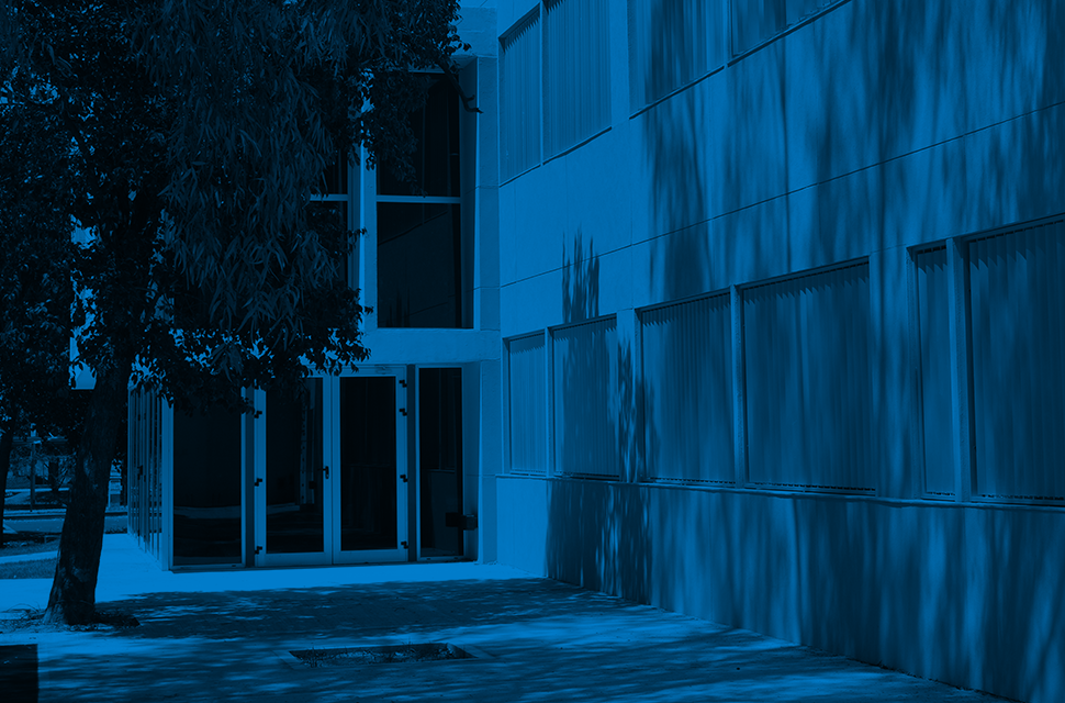 web-fcs-sin-actividades-paro.